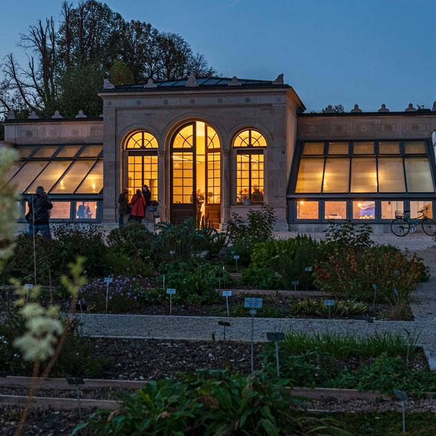 Orangerie